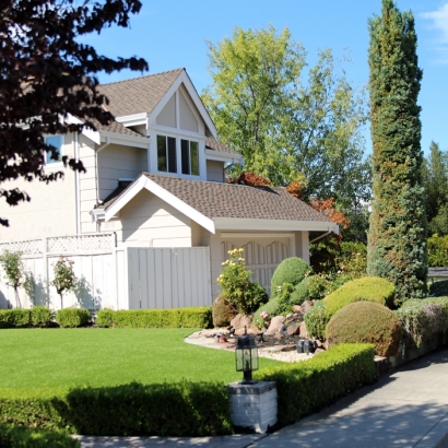 Grass Turf Dublin, California Roof Top, Front Yard Landscaping Ideas