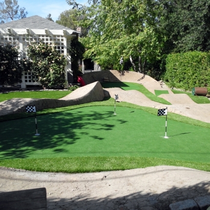 Grass Turf Vallejo, California Landscape Design, Beautiful Backyards