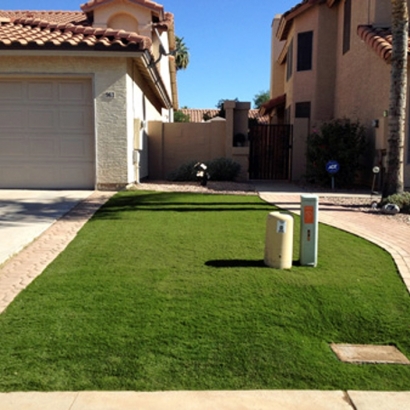 Green Lawn Fairview, California Lawns, Front Yard