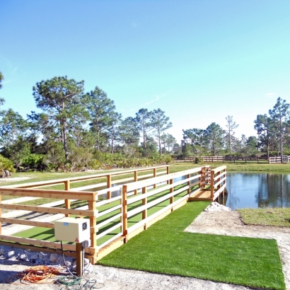 Green Lawn Woodland, California Backyard Deck Ideas, Backyard Ideas