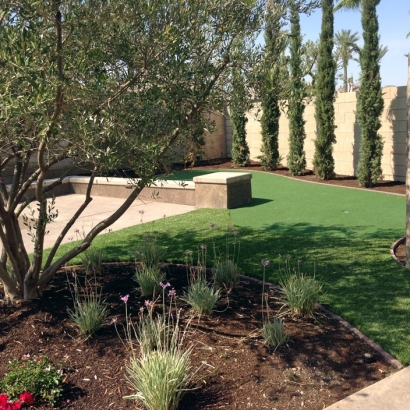 How To Install Artificial Grass Livermore, California Backyard Playground, Backyard Landscape Ideas