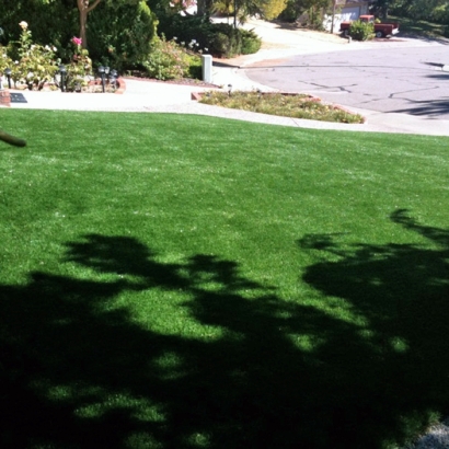 Installing Artificial Grass Ben Lomond, California Design Ideas, Front Yard Landscaping