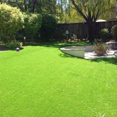 Lawn Services West Menlo Park, California Design Ideas, Backyard Ideas