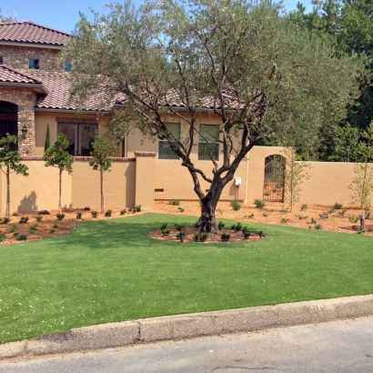 Outdoor Carpet Alum Rock, California Lawn And Landscape, Landscaping Ideas For Front Yard