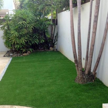 Outdoor Carpet Blackhawk, California Home And Garden, Backyard