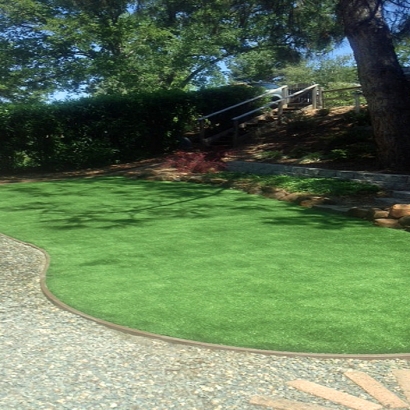 Outdoor Carpet Cazadero, California City Landscape, Backyard Makeover