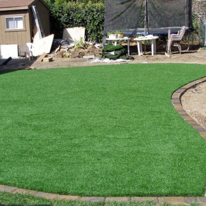 Outdoor Carpet Rollingwood, California Rooftop, Backyard Landscaping