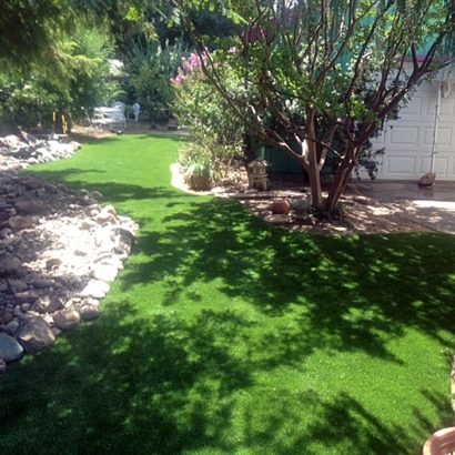 Outdoor Carpet Santa Cruz, California Backyard Playground, Backyard Landscape Ideas