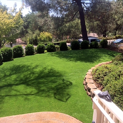 Plastic Grass Country Club, California Landscape Rock, Backyard