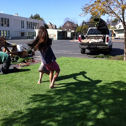 Plastic Grass French Camp, California Landscape Design, Commercial Landscape