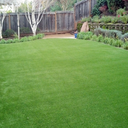 Synthetic Grass Collierville, California Roof Top, Backyard Garden Ideas