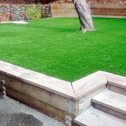 Synthetic Grass Cost Hercules, California Lawns, Backyard Garden Ideas