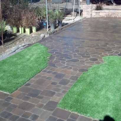 Synthetic Grass Cost Hercules, California Landscape Photos, Backyard Landscaping Ideas