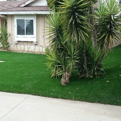 Synthetic Grass Cost Novato, California Landscape Design, Small Front Yard Landscaping