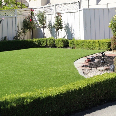 Synthetic Grass Cost Pittsburg, California Design Ideas, Backyard Design