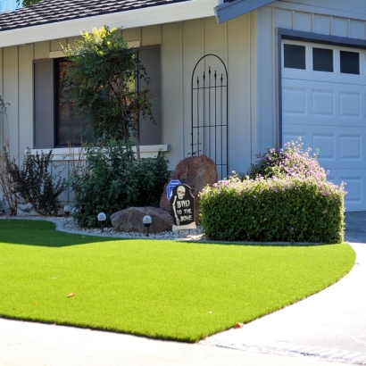 Synthetic Grass Ladera, California Landscape Design, Front Yard Ideas