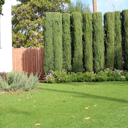 Synthetic Grass Orinda, California Rooftop, Front Yard Landscape Ideas