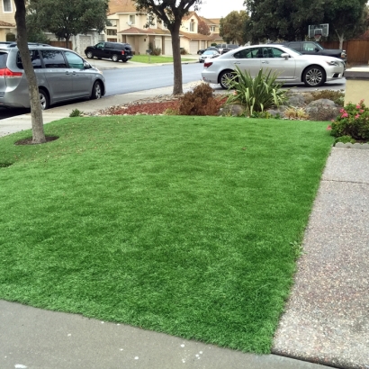 Synthetic Grass Richmond, California Gardeners, Front Yard Landscaping