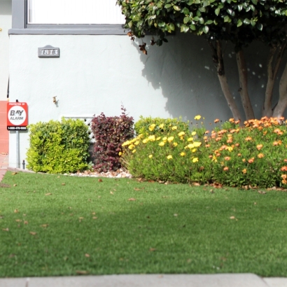 Synthetic Grass San Francisco, California Home And Garden, Small Front Yard Landscaping