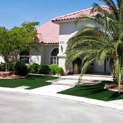 Synthetic Grass Stinson Beach, California City Landscape, Front Yard Landscaping Ideas