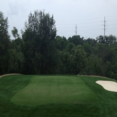 Synthetic Lawn Paradise Park, California Putting Green Carpet, Backyard Landscaping Ideas