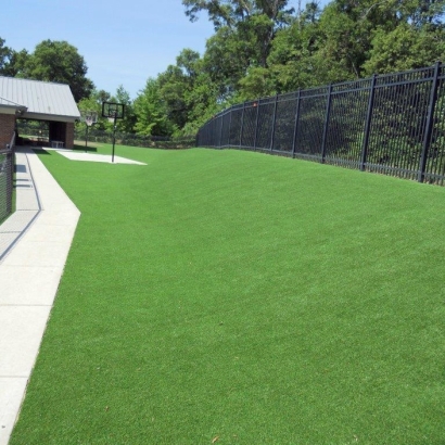 Synthetic Turf Boulder Creek, California City Landscape, Commercial Landscape