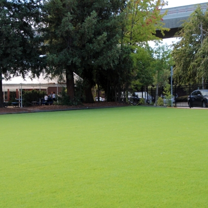 Synthetic Turf Concord, California Landscape Ideas, Commercial Landscape