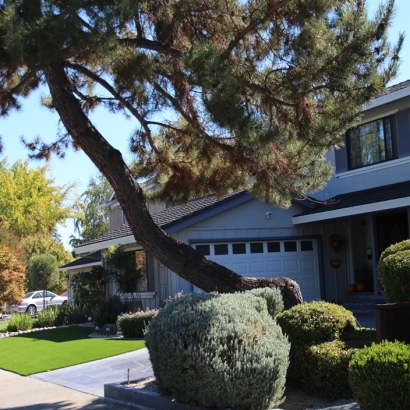 Synthetic Turf Lagunitas-Forest Knolls, California Backyard Deck Ideas, Landscaping Ideas For Front Yard