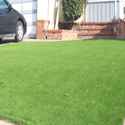 Synthetic Turf Millbrae, California Landscape Ideas, Landscaping Ideas For Front Yard