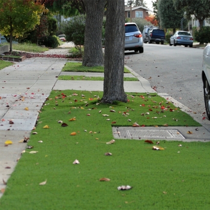 Synthetic Turf Supplier Belvedere, California Landscaping Business, Front Yard Ideas