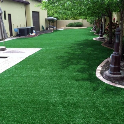 Synthetic Turf Westley, California Landscaping Business, Backyard Garden Ideas