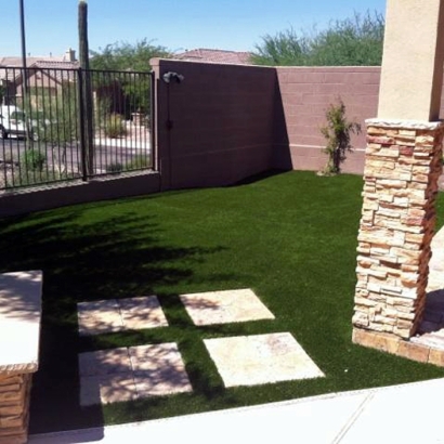 Turf Grass Buena Vista, California Lawn And Garden, Backyard Landscaping