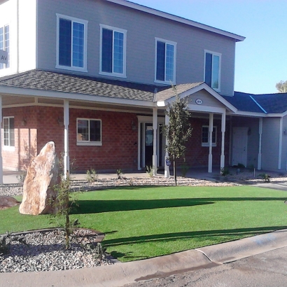 Turf Grass San Leandro, California Landscape Ideas, Front Yard Landscape Ideas