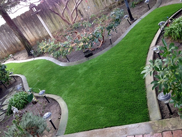 Artificial Grass Bay Point, California Lawn And Garden, Backyards