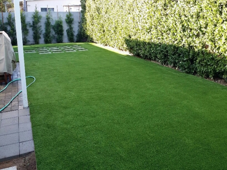 Artificial Grass Black Point-Green Point, California Lawn And Landscape, Backyard Garden Ideas