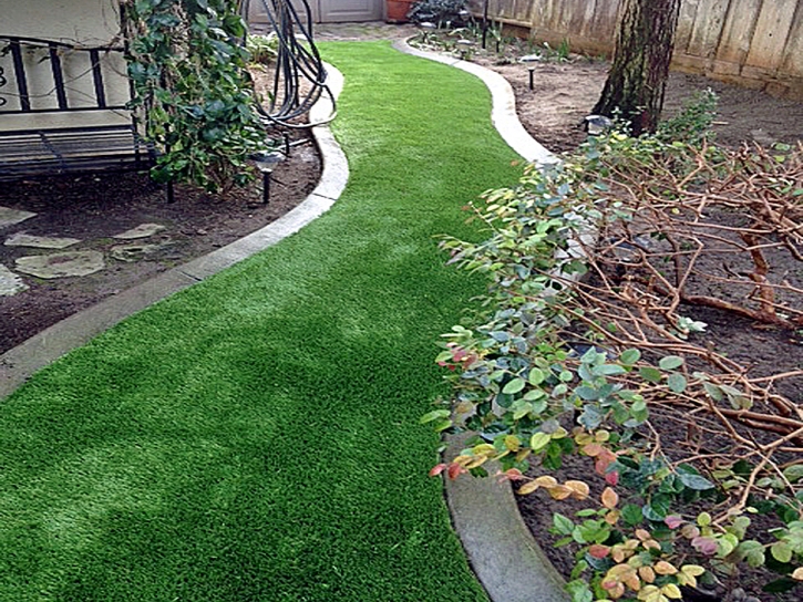 Artificial Grass Blackhawk, California Lawn And Landscape, Backyard Landscape Ideas