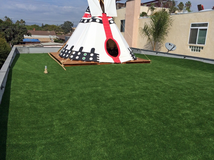 Artificial Grass Bonny Doon, California City Landscape, Roof Top