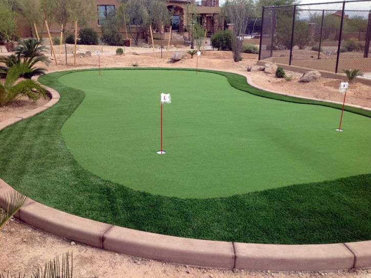 Artificial Grass Carpet Albany, California Lawns, Backyard