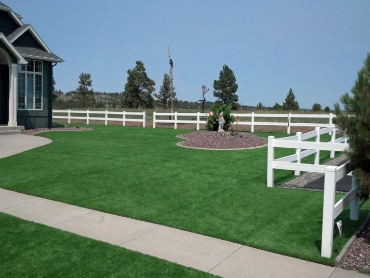 Artificial Grass Carpet Bret Harte, California Landscaping, Front Yard Landscape Ideas