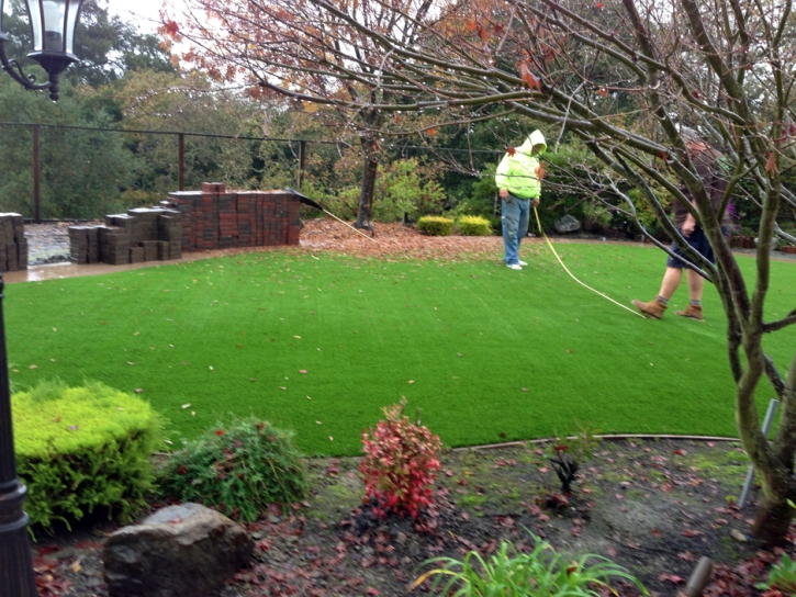 Artificial Grass Carpet Brookdale, California Design Ideas, Small Backyard Ideas