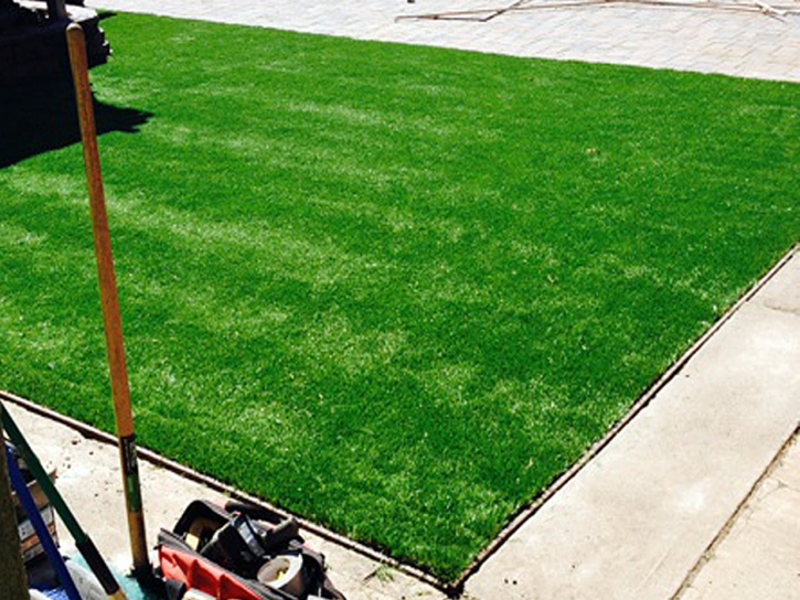 Artificial Grass Carpet Montalvin, California Paver Patio