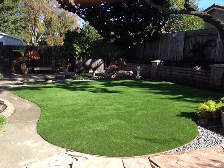 Artificial Grass Carpet Pleasanton, California City Landscape, Backyard Design