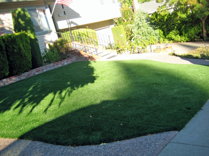 Artificial Grass Carpet Rio Vista, California Landscape Design, Front Yard Ideas