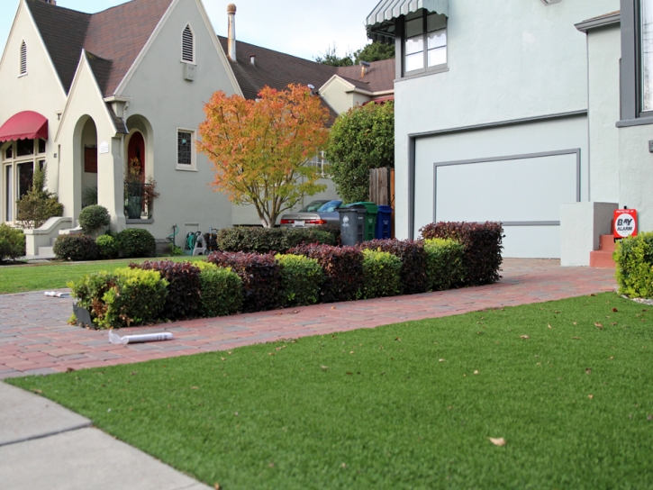 Artificial Grass Carpet Rosemont, California Roof Top, Small Front Yard Landscaping