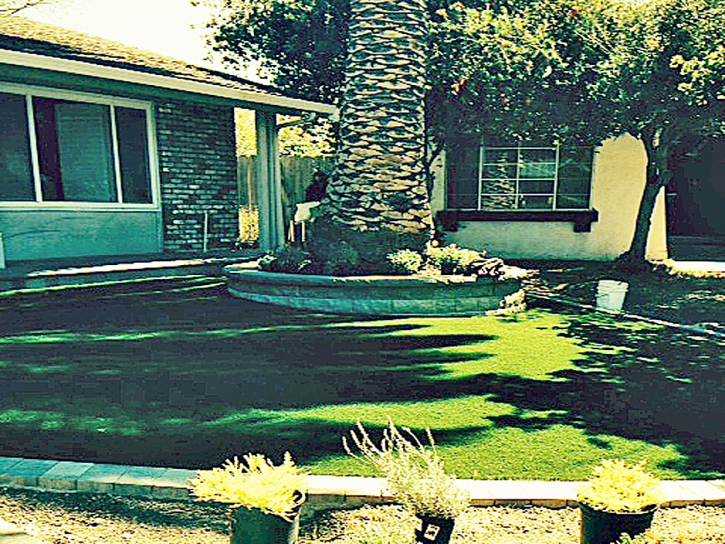 Artificial Grass Carpet Sausalito, California Lawn And Landscape, Front Yard