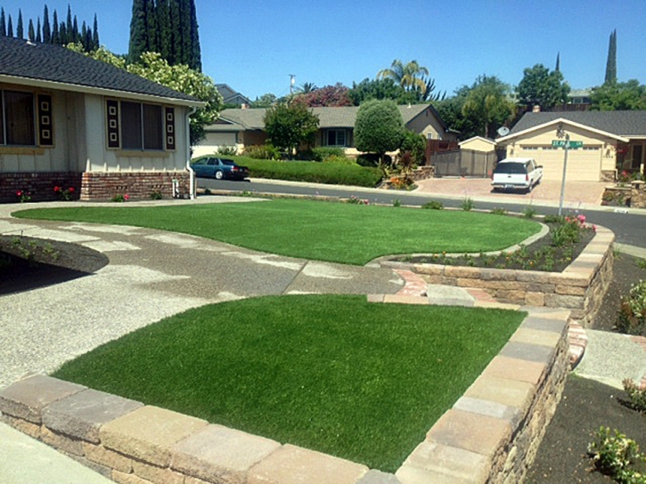 Artificial Grass French Camp, California Landscape Ideas