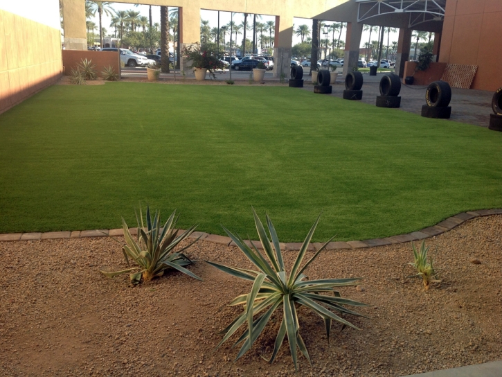 Artificial Grass Installation Clayton, California City Landscape, Commercial Landscape