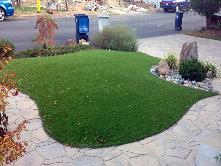 Artificial Grass Installation Elk Grove, California Lawn And Garden