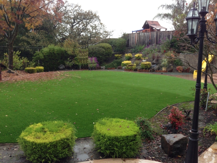 Artificial Grass Installation Felton, California Roof Top, Backyard