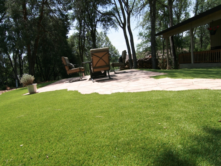 Artificial Grass Installation Salmon Creek, California Home And Garden, Backyard Ideas